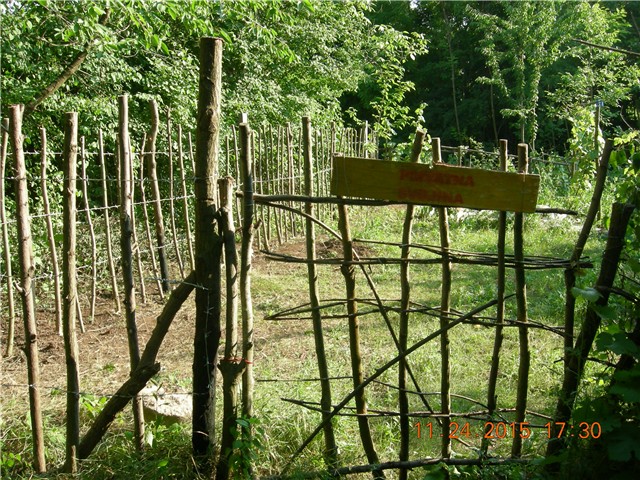 arčilend